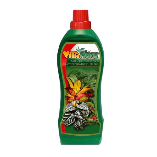 Vitaflora 2 — Plante decorative cu frunze 1000 ml — imagine 1