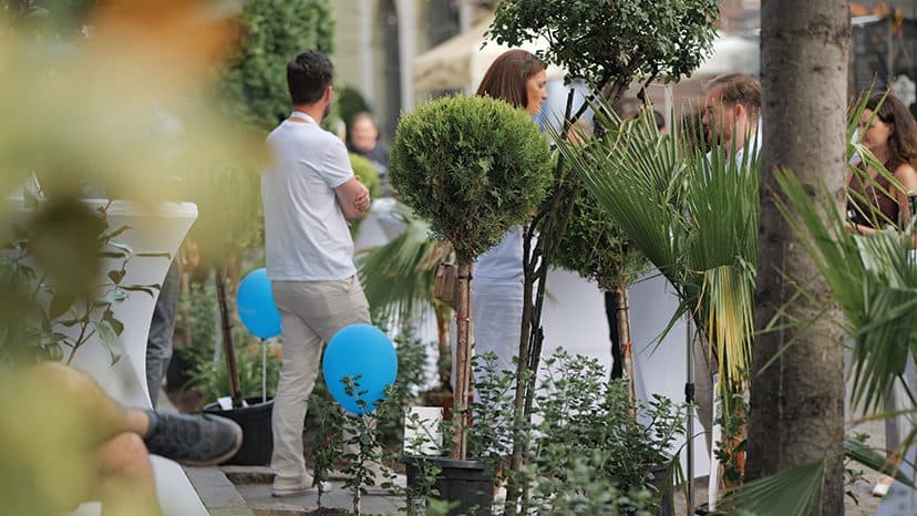 Plante ornamentale Pominova în spațiile Zilelor Culturale Maghiare din Cluj 2026