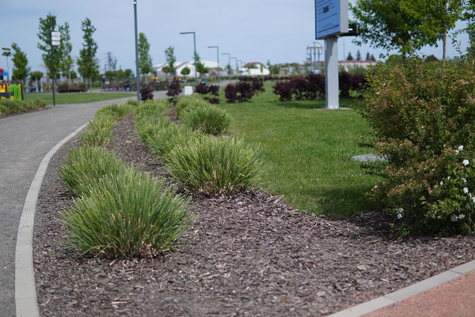 Amenajare Parc Somos — Carei — imagine 1