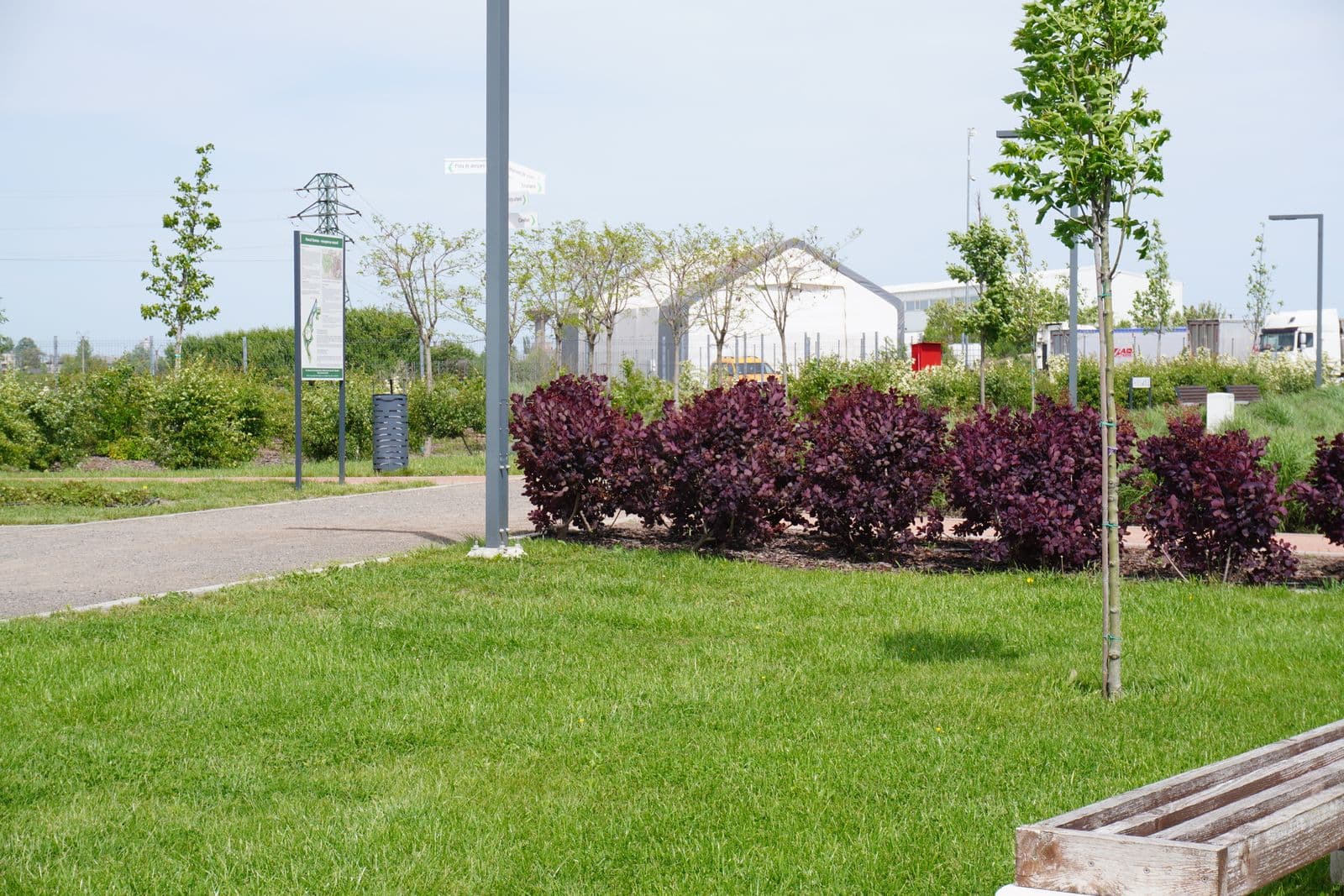 Amenajare Parc Somos — Carei