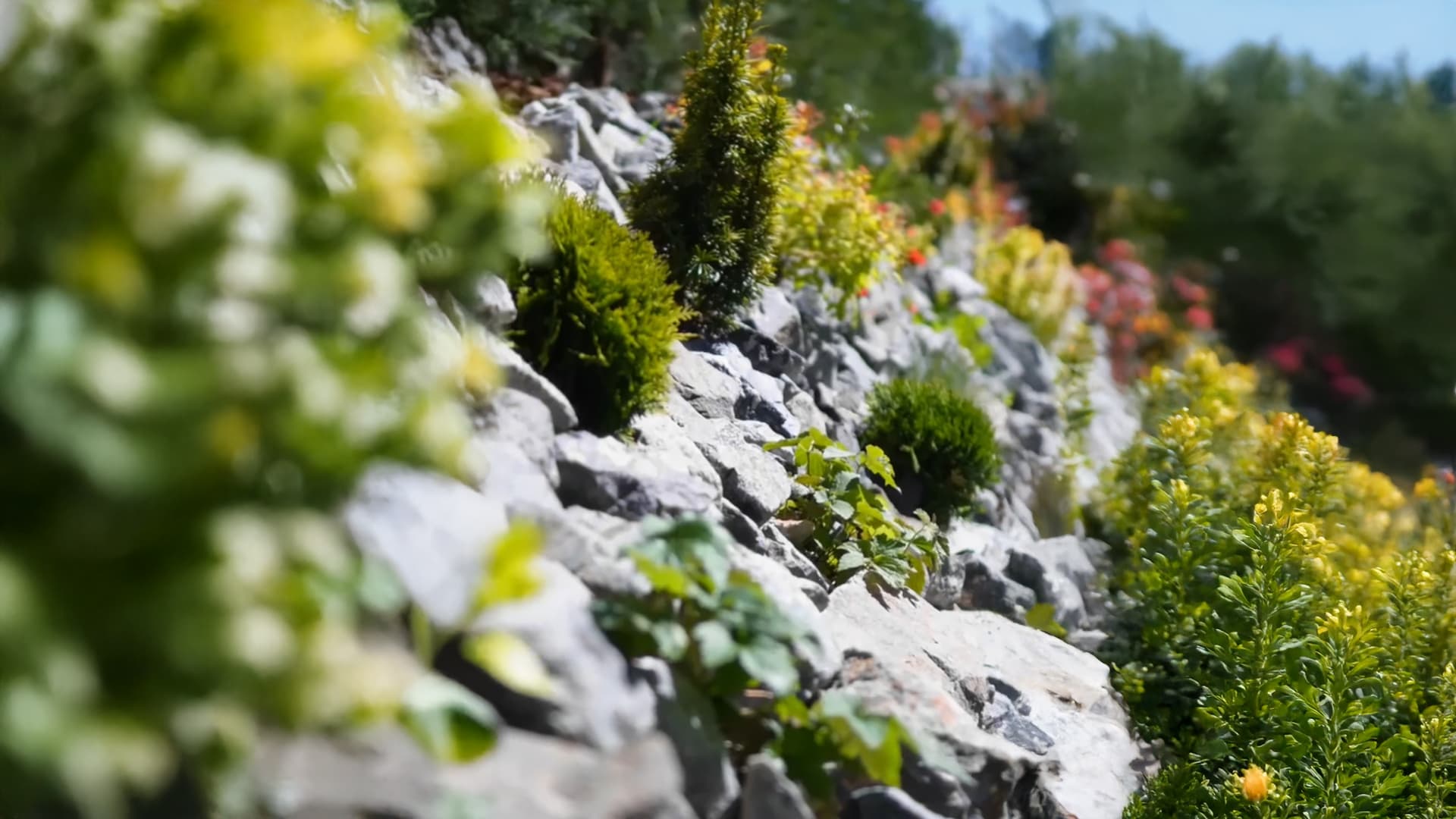 Amenajare curte – Terra Gardens, Cluj-Napoca