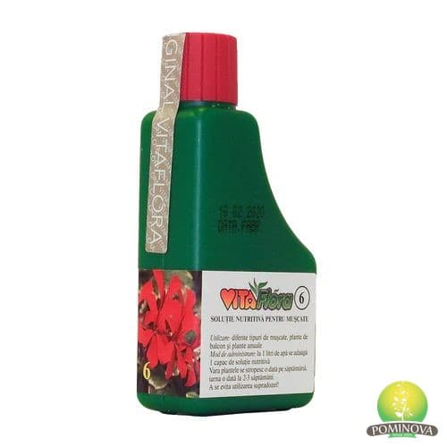 Vitaflora 6 — Mușcate și plante de balcon 1000 ml (Vitaflora soluție)