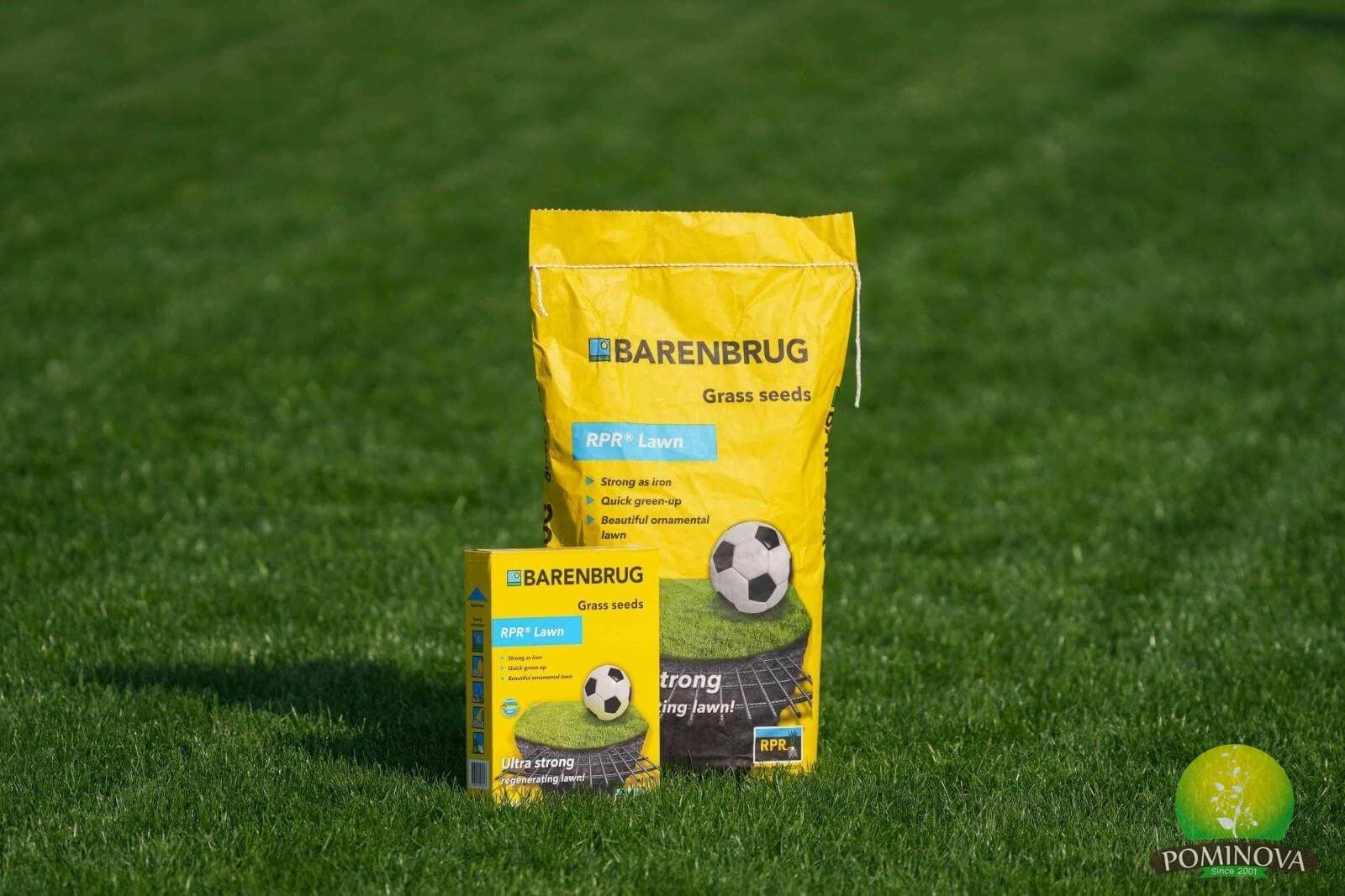 Seminte Gazon Barenbrug Rpr Sport