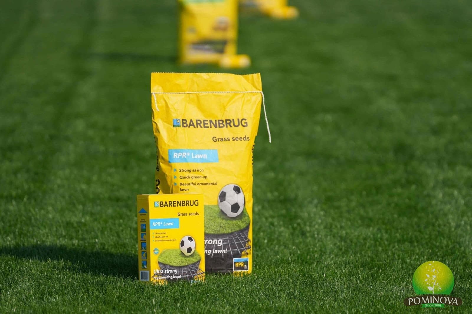 Seminte Gazon Barenbrug Rpr Sport — imagine 1