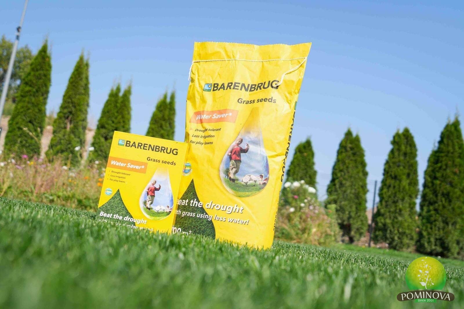 Seminte Gazon Barenbrug Watersaver